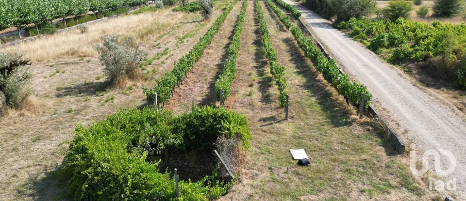 Terreno rústico em Cumeeira de 2 438 m²