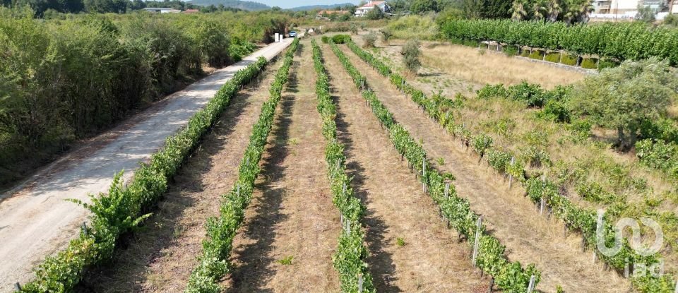 Terreno rústico em Cumeeira de 2 438 m²