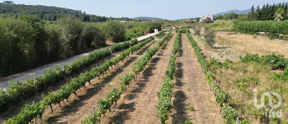 Terreno rústico em Cumeeira de 2 438 m²