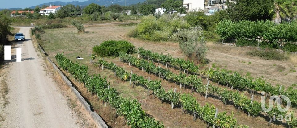 Terreno rústico em Cumeeira de 2 438 m²