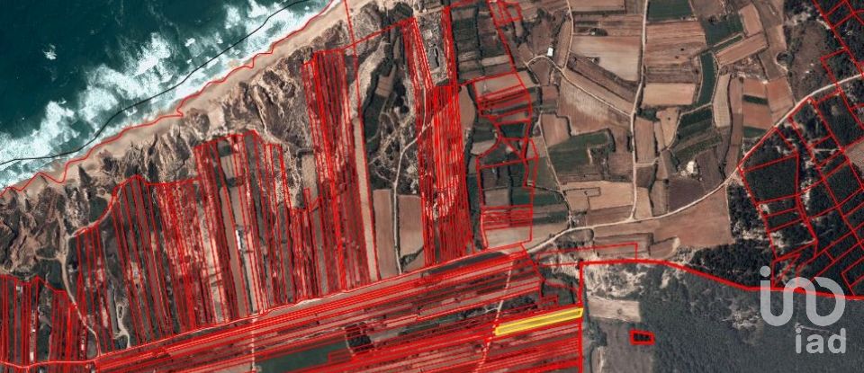 Land in Ferrel of 3,800 m²