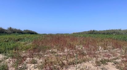 Terrain à Ferrel de 3 800 m²