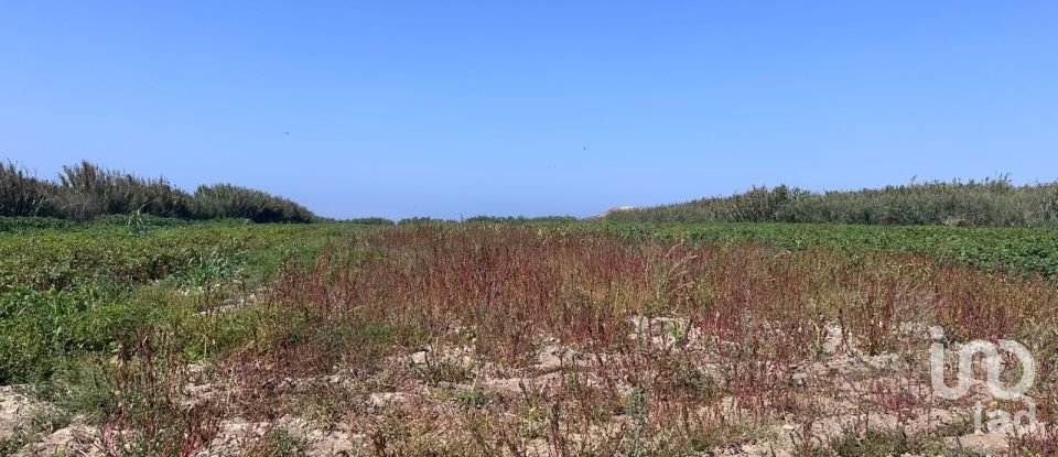 Land in Ferrel of 3,800 m²