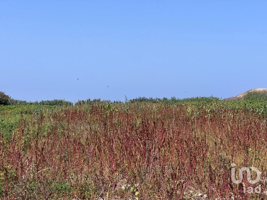 Land in Ferrel of 3,800 m²