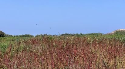 Terrain à Ferrel de 3 800 m²