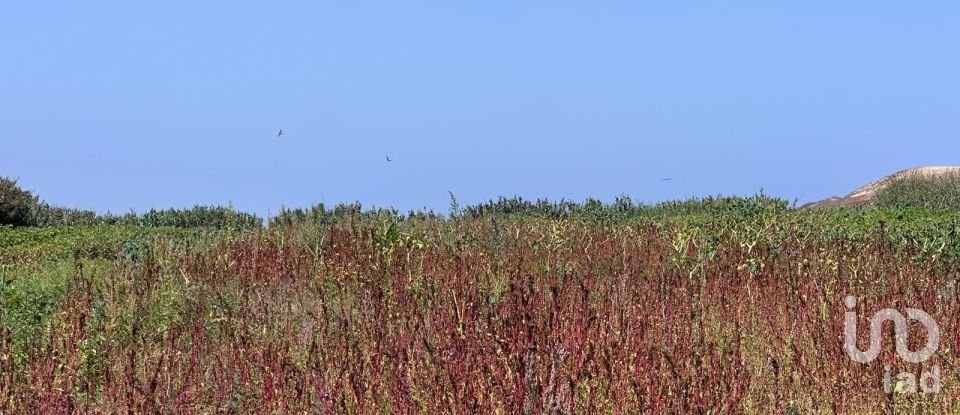 Land in Ferrel of 3,800 m²