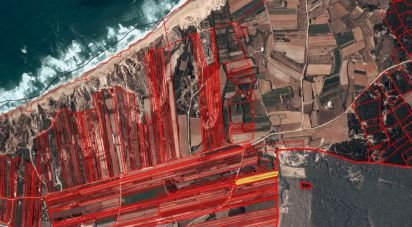 Terrain à Ferrel de 3 800 m²