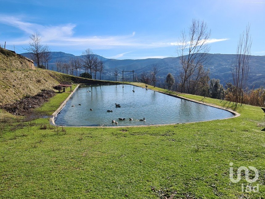 Ferme T2 à Lagos Da Beira E Lajeosa de 32 320 m²
