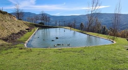 Ferme T2 à Lagos Da Beira E Lajeosa de 32 320 m²