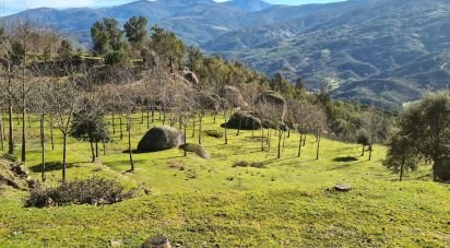 Ferme T2 à Lagos Da Beira E Lajeosa de 32 320 m²