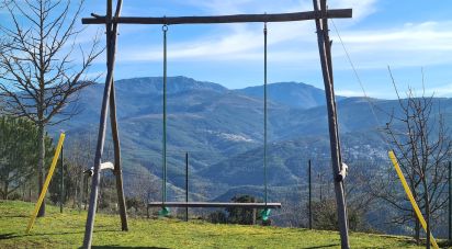 Ferme T2 à Lagos Da Beira E Lajeosa de 32 320 m²