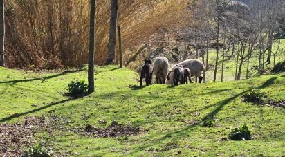 Ferme T2 à Lagos Da Beira E Lajeosa de 32 320 m²