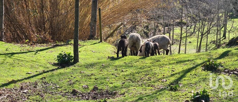 Ferme T2 à Lagos Da Beira E Lajeosa de 32 320 m²