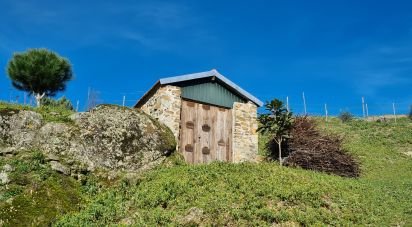 Ferme T2 à Lagos Da Beira E Lajeosa de 32 320 m²