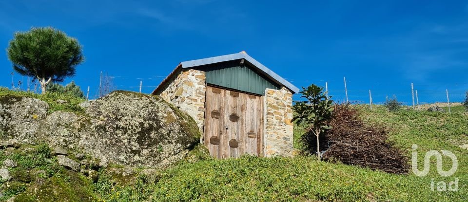 Ferme T2 à Lagos Da Beira E Lajeosa de 32 320 m²