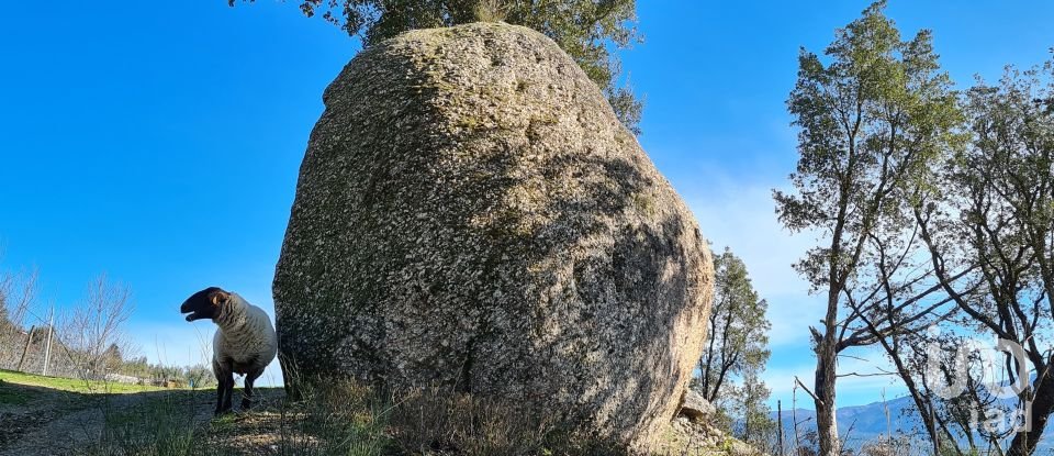 Ferme T2 à Lagos Da Beira E Lajeosa de 32 320 m²