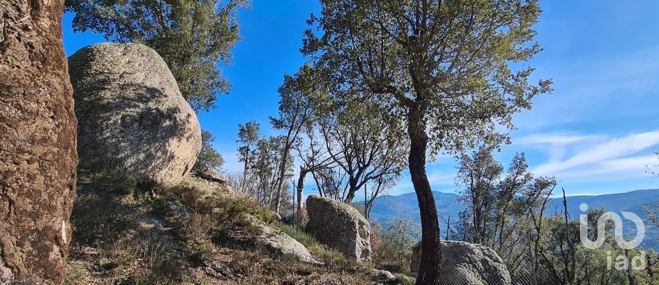 Ferme T2 à Lagos Da Beira E Lajeosa de 32 320 m²