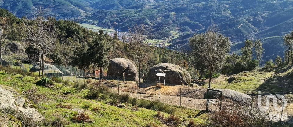 Ferme T2 à Lagos Da Beira E Lajeosa de 32 320 m²
