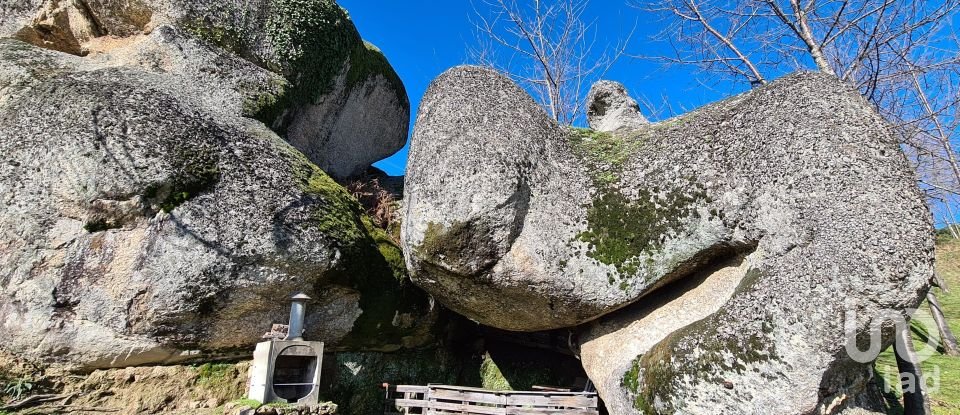 Ferme T2 à Lagos Da Beira E Lajeosa de 32 320 m²