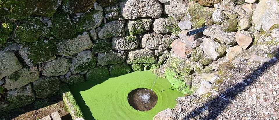 Ferme T2 à Lagos Da Beira E Lajeosa de 32 320 m²