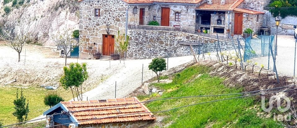 Ferme T2 à Lagos Da Beira E Lajeosa de 32 320 m²