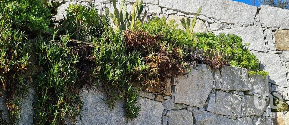 Ferme T2 à Lagos Da Beira E Lajeosa de 32 320 m²