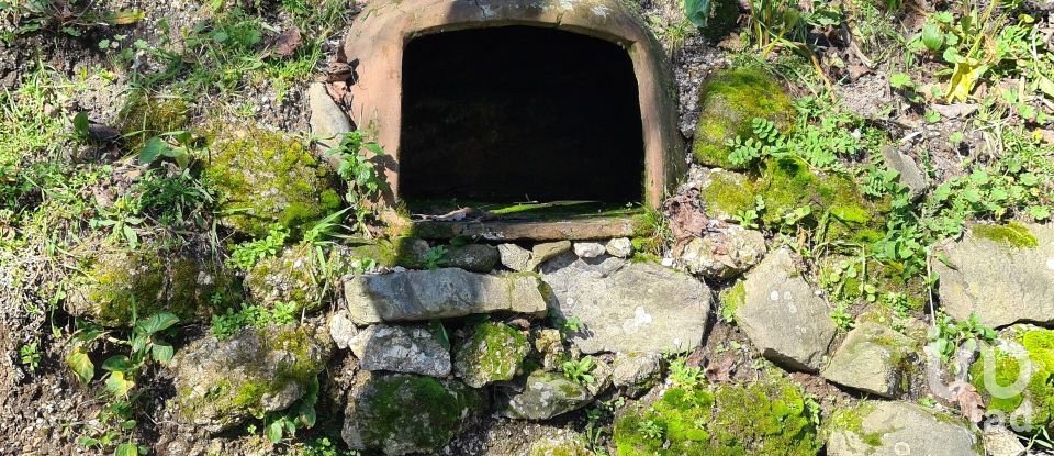 Ferme T2 à Lagos Da Beira E Lajeosa de 32 320 m²