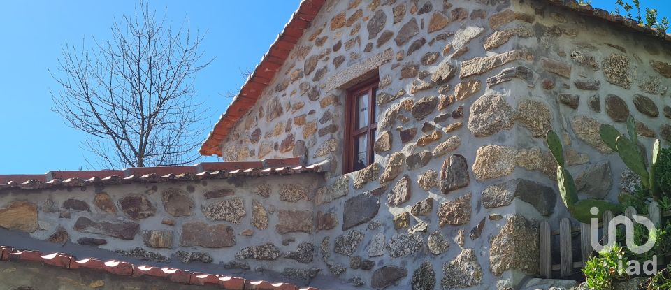 Ferme T2 à Lagos Da Beira E Lajeosa de 32 320 m²