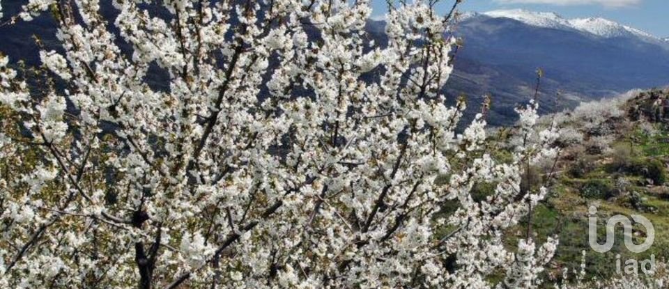 Ferme T2 à Lagos Da Beira E Lajeosa de 32 320 m²