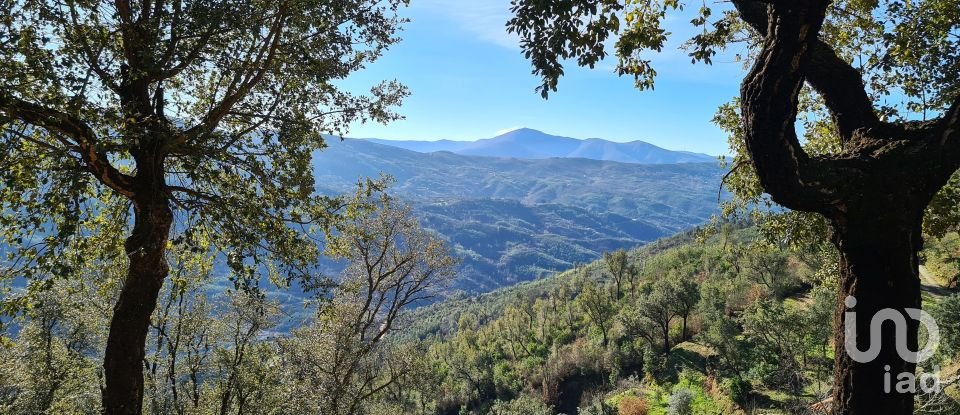Ferme T2 à Lagos Da Beira E Lajeosa de 32 320 m²