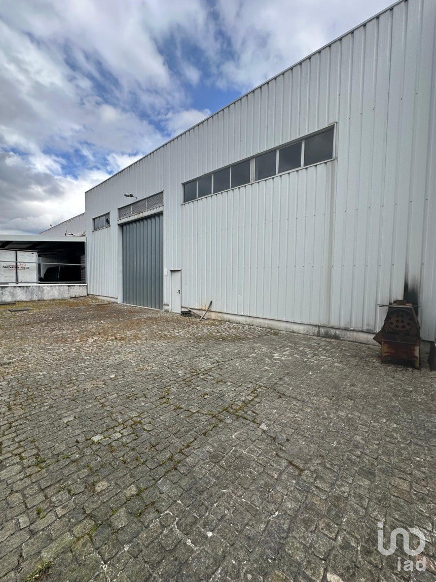 Pavillon T0 à Lordelo de 576 m²