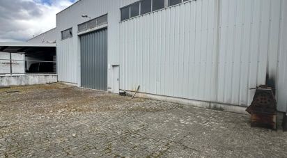 Pavillon T0 à Lordelo de 576 m²