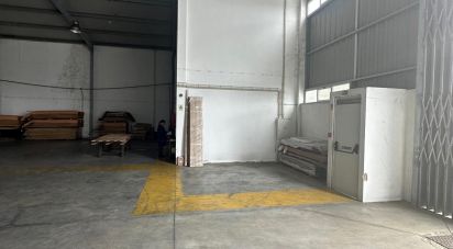 Pavillon T0 à Lordelo de 576 m²