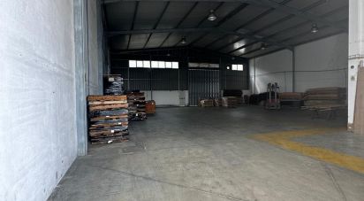 Pavillon T0 à Lordelo de 576 m²