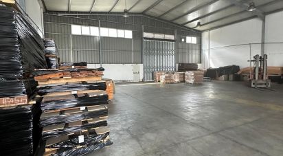 Pavillon T0 à Lordelo de 576 m²