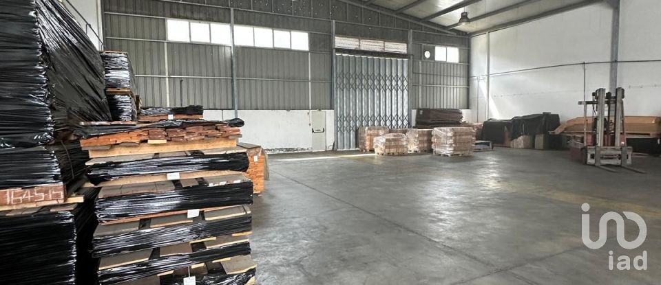 Pavillon T0 à Lordelo de 576 m²