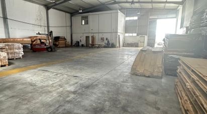 Pavillon T0 à Lordelo de 576 m²