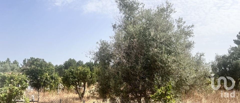 Moradia T4 em Grândola e Santa Margarida da Serra de 80 m²