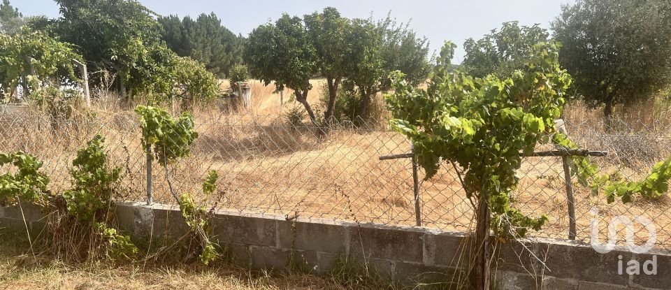 Moradia T4 em Grândola e Santa Margarida da Serra de 80 m²