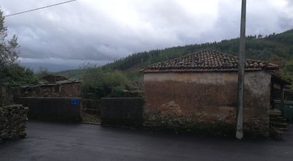 Maison T0 à Alvares de 56 m²