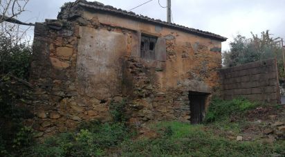 Maison T0 à Alvares de 56 m²