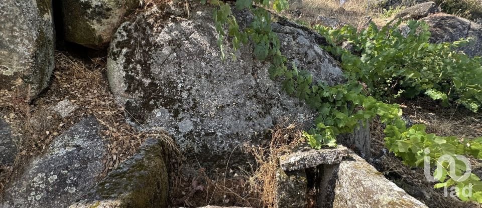 House T4 in Prova e Casteição of 277 m²