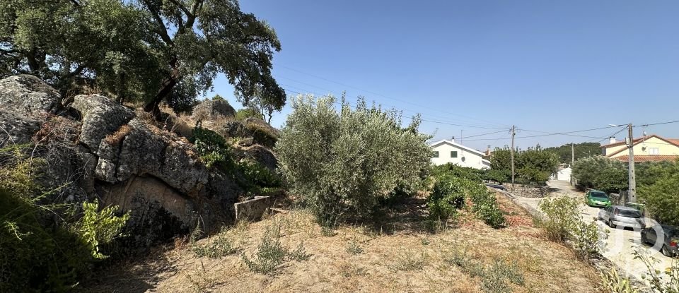 House T4 in Prova e Casteição of 277 m²