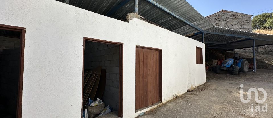 House T4 in Prova e Casteição of 277 m²