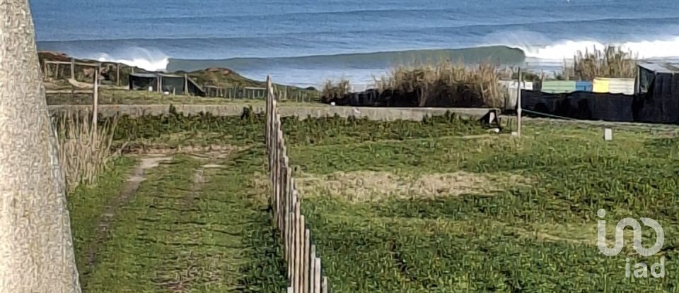 Boutique/Local commercial à Ferrel de 216 m²