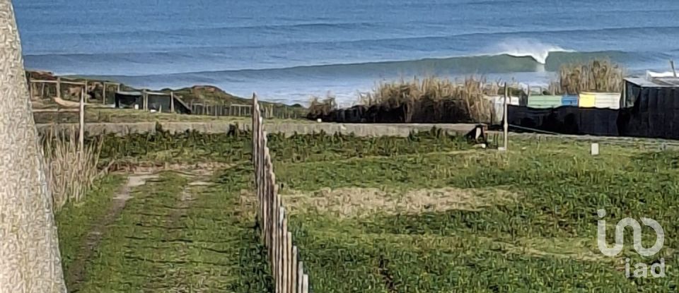 Boutique/Local commercial à Ferrel de 216 m²