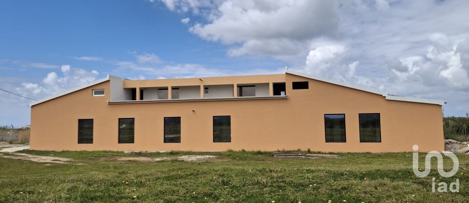 Boutique/Local commercial à Ferrel de 216 m²