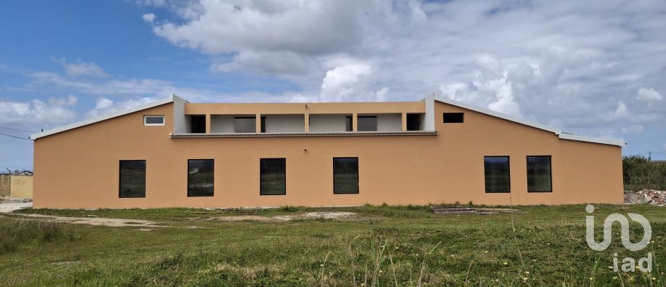 Boutique/Local commercial à Ferrel de 216 m²