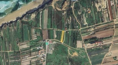 Boutique/Local commercial à Ferrel de 216 m²