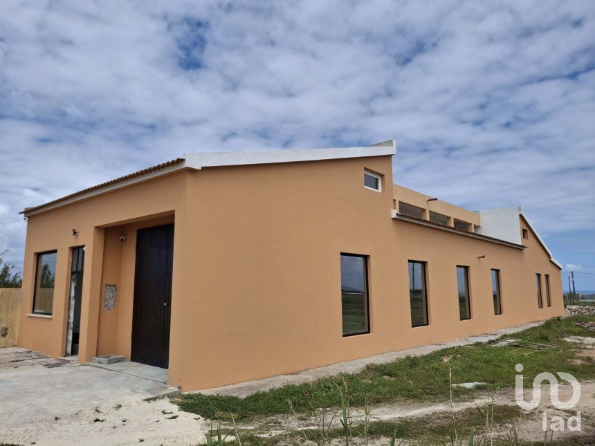 Boutique/Local commercial à Ferrel de 216 m²